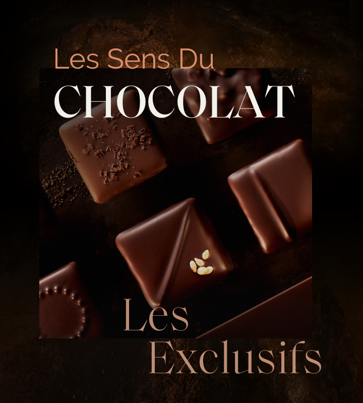 Expérience Les Sens du Chocolat Exclusifs CLUIZEL