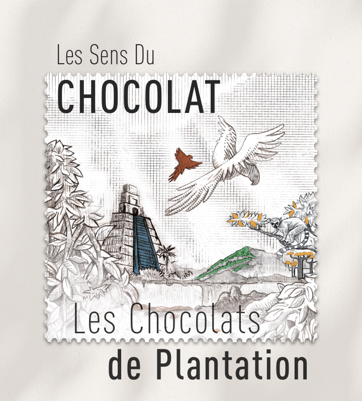 Expérience Les Sens du Chocolat Plantation CLUIZEL
