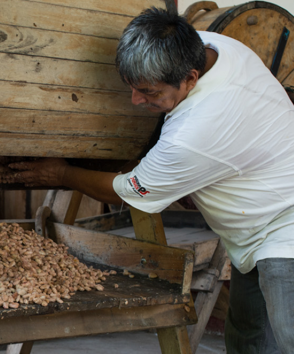 Fermentation Chocolats de Plantation Mokaya CLUIZEL